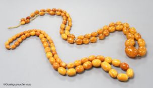 Two single strand graduated oval amber bead necklaces, 71cm, 61 grams & 89cm, 68 grams (beads