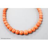A single strand graduated coral bead choker necklace, 36cm, , gross weight 63 grams.