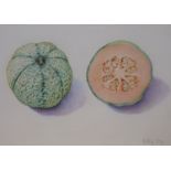 Vicky Cox (1943-1999), watercolour, Study of a melon, signed, 41 x 58cm