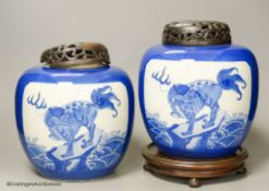 A pair of 19th century Chinese blue and white 'mythical beast' jars,each with a powder blue ground,