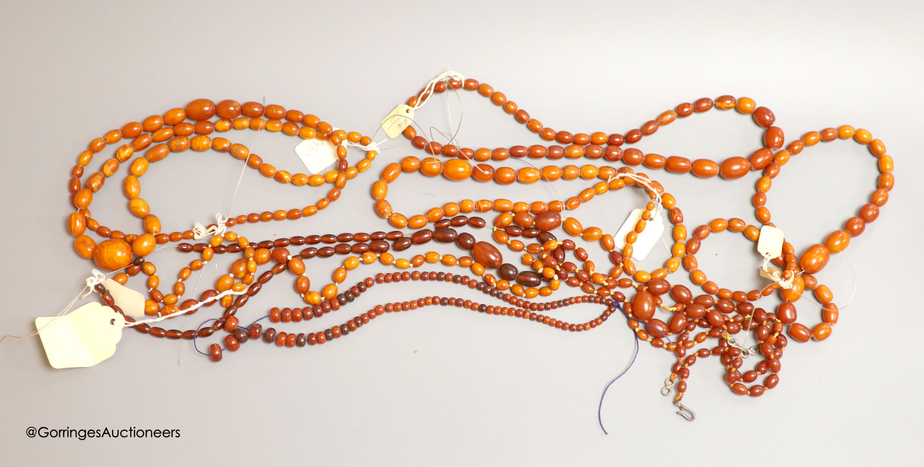 Nine assorted single strand amber bead necklaces, longest approximately 46cm, gross weight 173