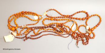 Nine assorted single strand amber bead necklaces, longest approximately 46cm, gross weight 173