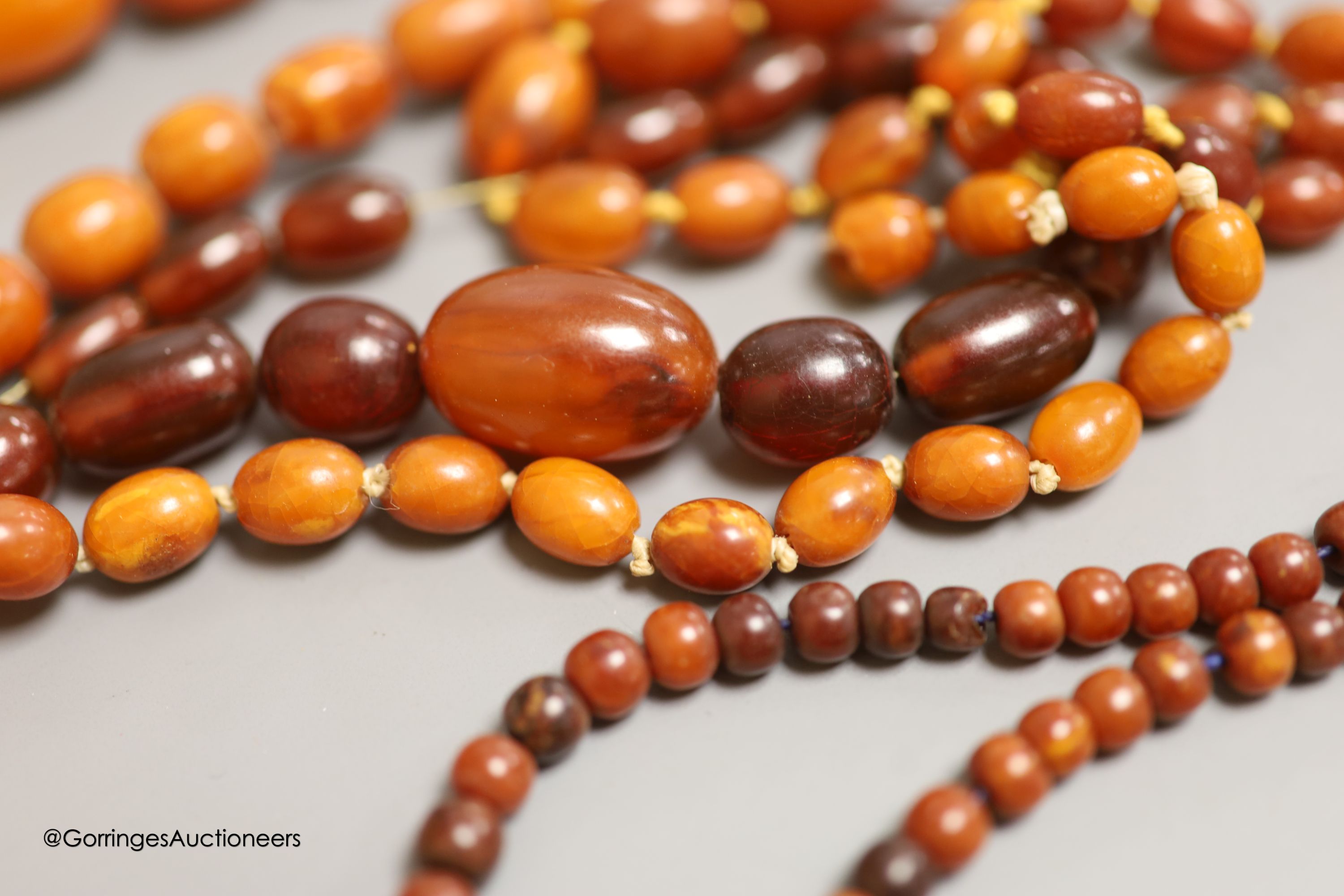 Nine assorted single strand amber bead necklaces, longest approximately 46cm, gross weight 173 - Image 5 of 5