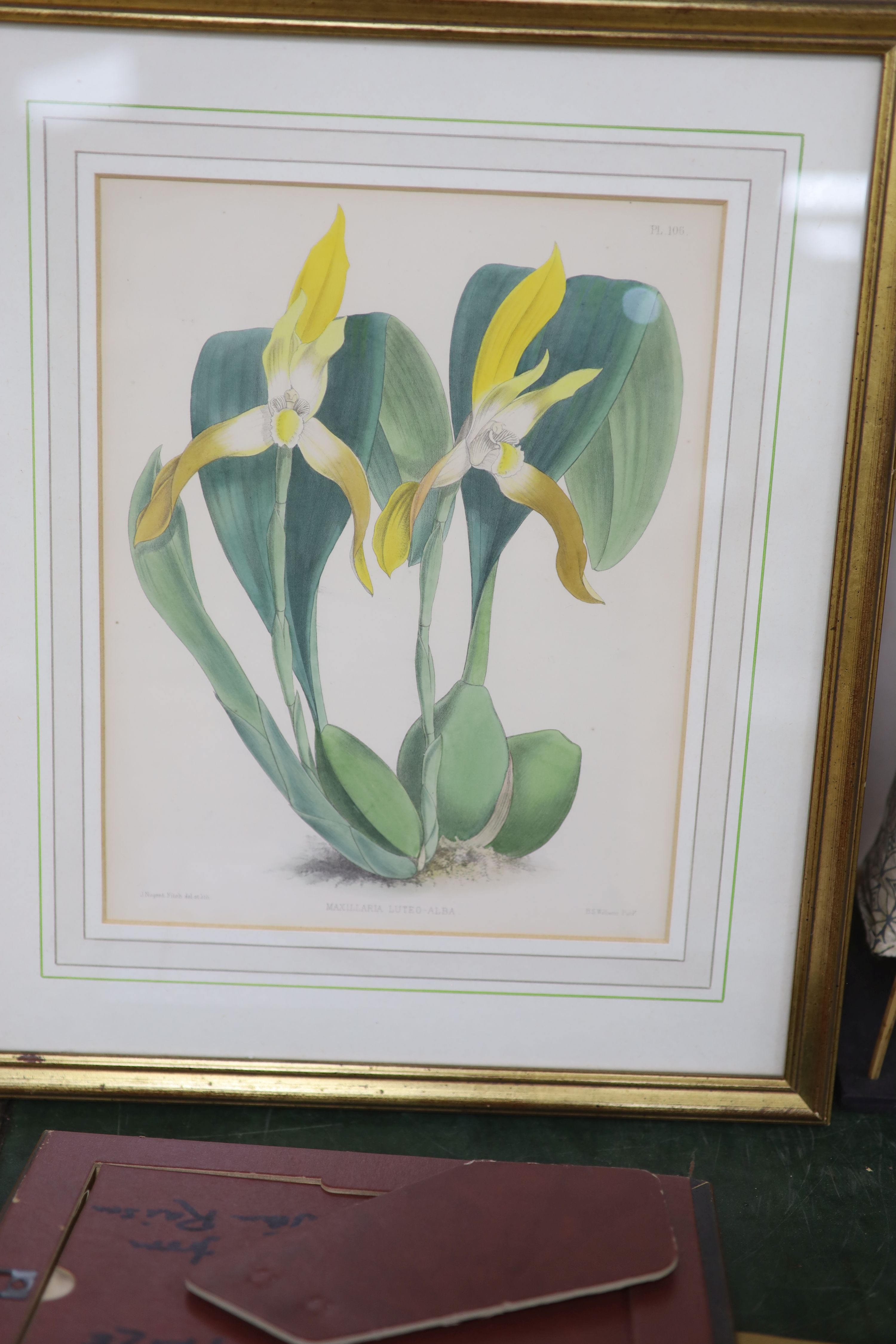 J.Nugent Fitch after B.S.Williams, a set of seven coloured lithographs, Studies of orchids, 29 x - Image 3 of 5