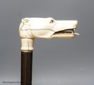 A rosewood walking stick with carved bone dog's head handle, length 89cm