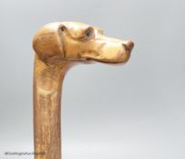 A carved walking stick in the form of a dog's head with glass eyes