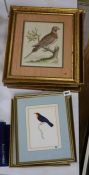 Jean-Gabriel Prêtre (1768-1849), four watercolours, Studies of exotic birds, signed and dated 1873,