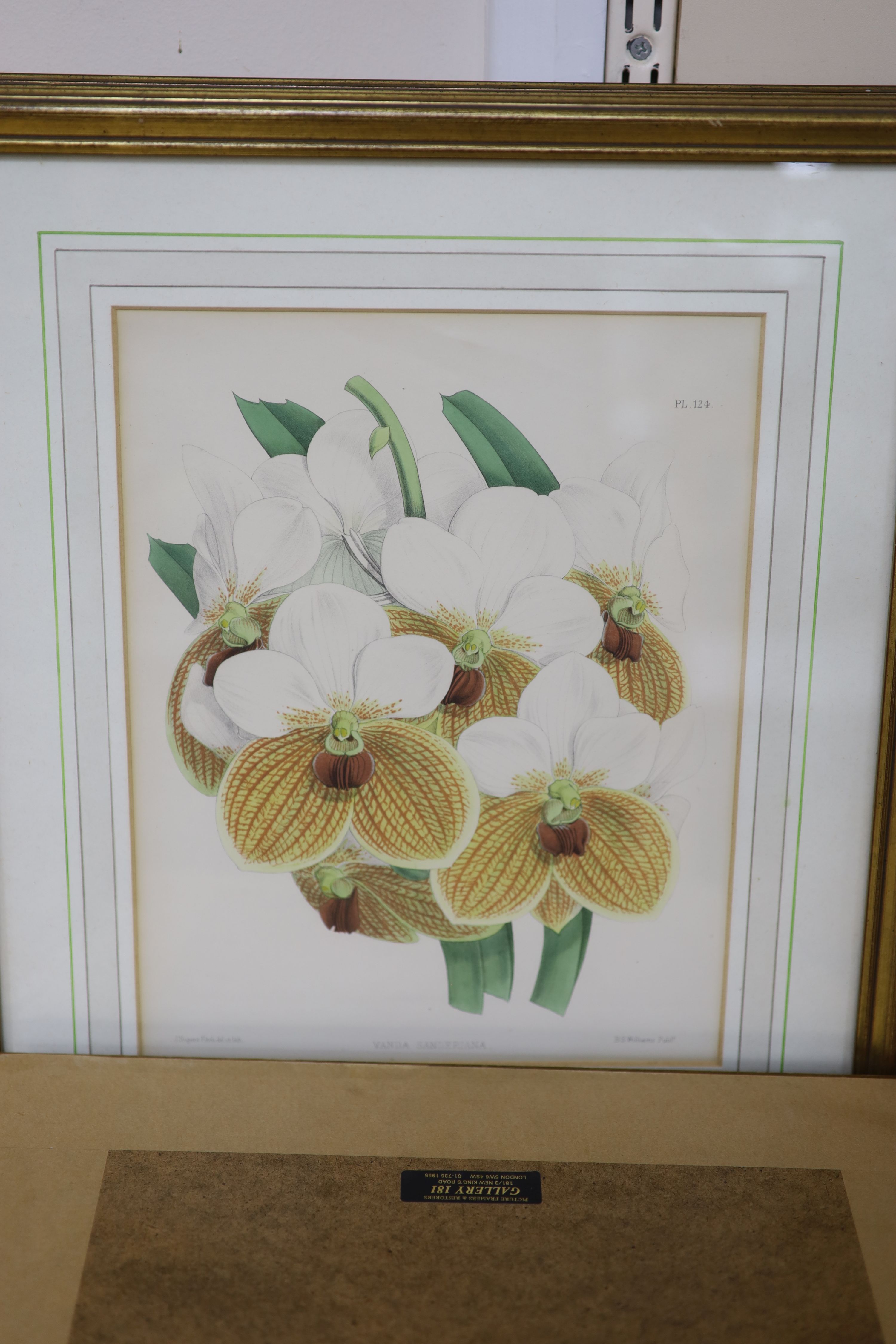 J.Nugent Fitch after B.S.Williams, a set of seven coloured lithographs, Studies of orchids, 29 x - Image 5 of 5