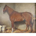 J. Danson (19thC), oil on board, Study of a horse in a stable, signed and dated 1881, 18 x 22cm