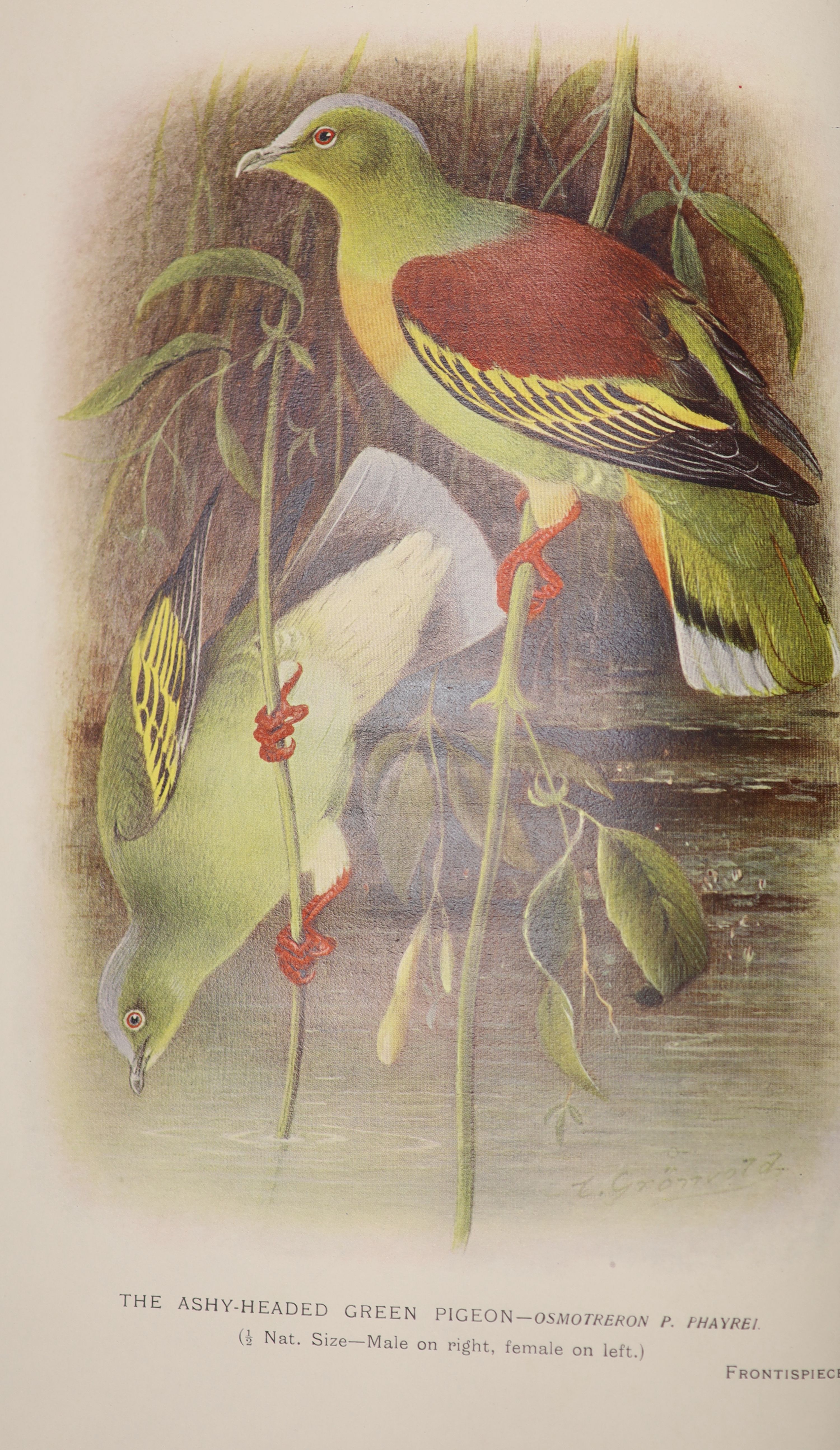 ° Baker, Edward, Charles, Stuart - The game-birds of India, Burma and Ceylon, 3 vols. qto, (vols, - Image 6 of 6