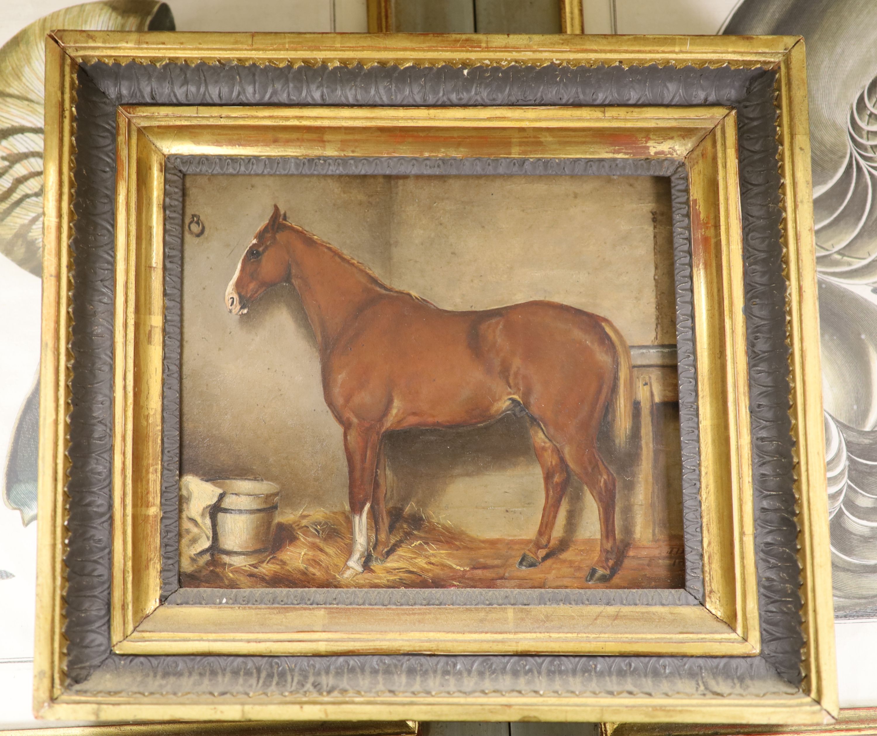 J. Danson (19thC), oil on board, Study of a horse in a stable, signed and dated 1881, 18 x 22cm - Image 2 of 2