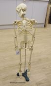 A moulded composition skeleton, 86cm