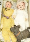 A 1939 Canadian reliable 'Netums' composition doll and a similar 'drunk-wet'doll, a gold mohair