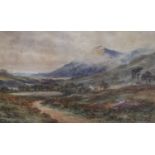 A. Coleman (19th C.), watercolour, Welsh landscape, signed, 25 x 43cm