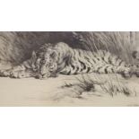 Herbert Dicksee (1862-1942), engraving, Tiger in the grass, signed and dated in the plate, 21 x