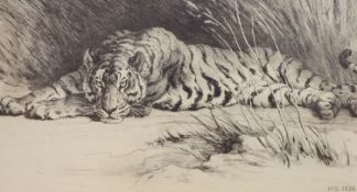 Herbert Dicksee (1862-1942), engraving, Tiger in the grass, signed and dated in the plate, 21 x