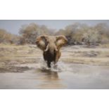 Tony Butler (1945-), oil on canvas, Bull elephant, signed, 71 x 108cm