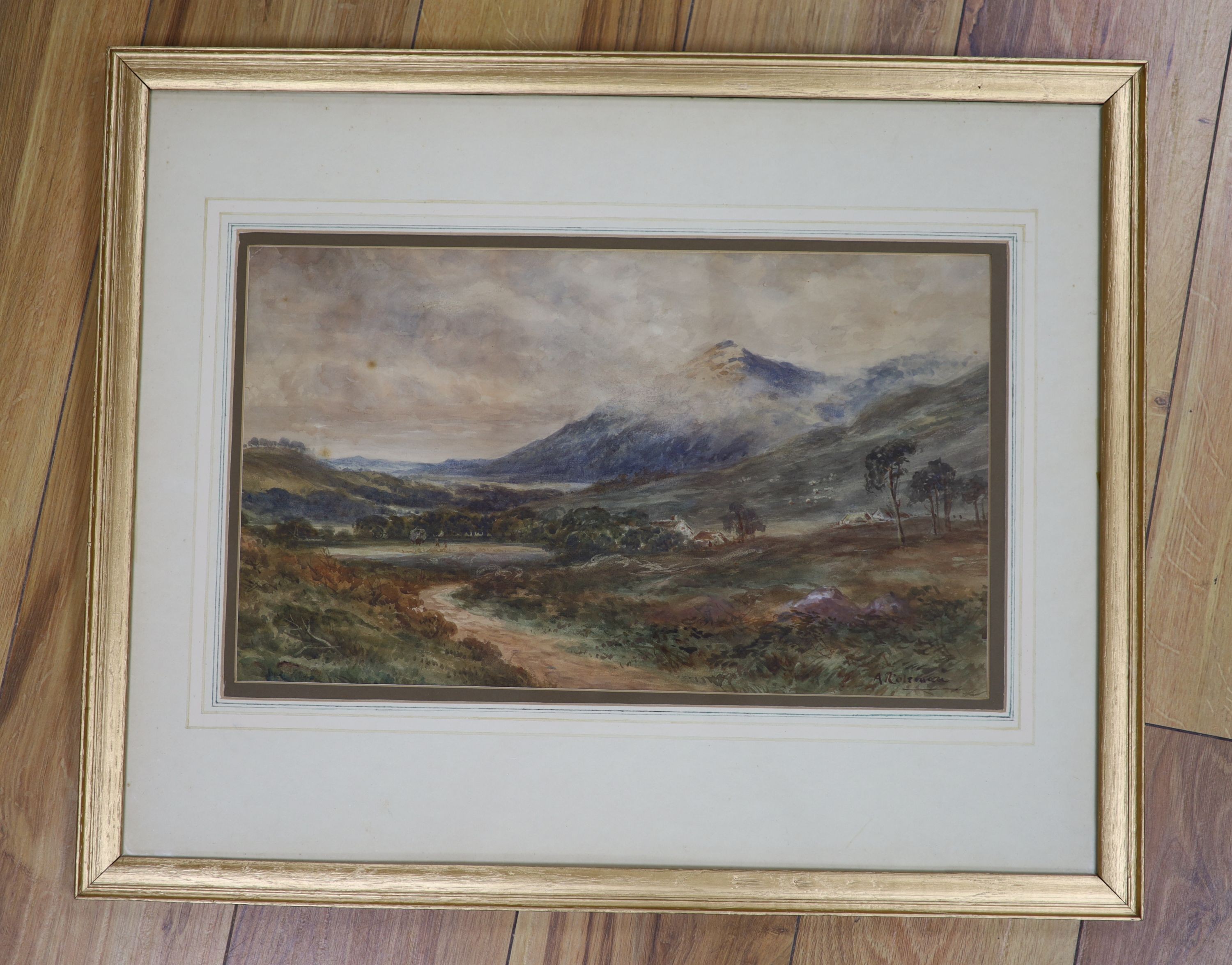 A. Coleman (19th C.), watercolour, Welsh landscape, signed, 25 x 43cm - Image 2 of 2