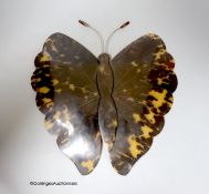 A tortoiseshell butterfly mount, Early 20th century28cm x 26cm