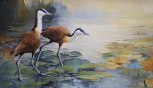 Tony Butler (1945-), oil on canvas, Wading birds on lily pads, signed, 70 x 118cm
