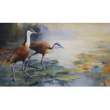 Tony Butler (1945-), oil on canvas, Wading birds on lily pads, signed, 70 x 118cm
