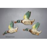 Three graduated pottery flying ducks, by Keele Street Potteries