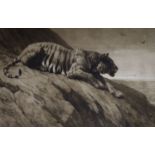 Herbert Thomas Dicksee (1862-1942), etching, Stalking tiger, signed in pencil, 46 x 69cm