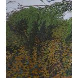 Arthur Hackney (1925-2010), gouache, Autumn Brambles, signed and dated '86, 38 x 34cm