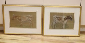 Margaret Fisher Prout (1875-1963), two pastel drawings, Studies of cows, Abbott & Holder labels