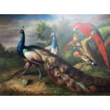 After Melchoir d'Hondecoeter, oil on canvas, Peacock and other exotic birds, 76 x 102cm, unframed