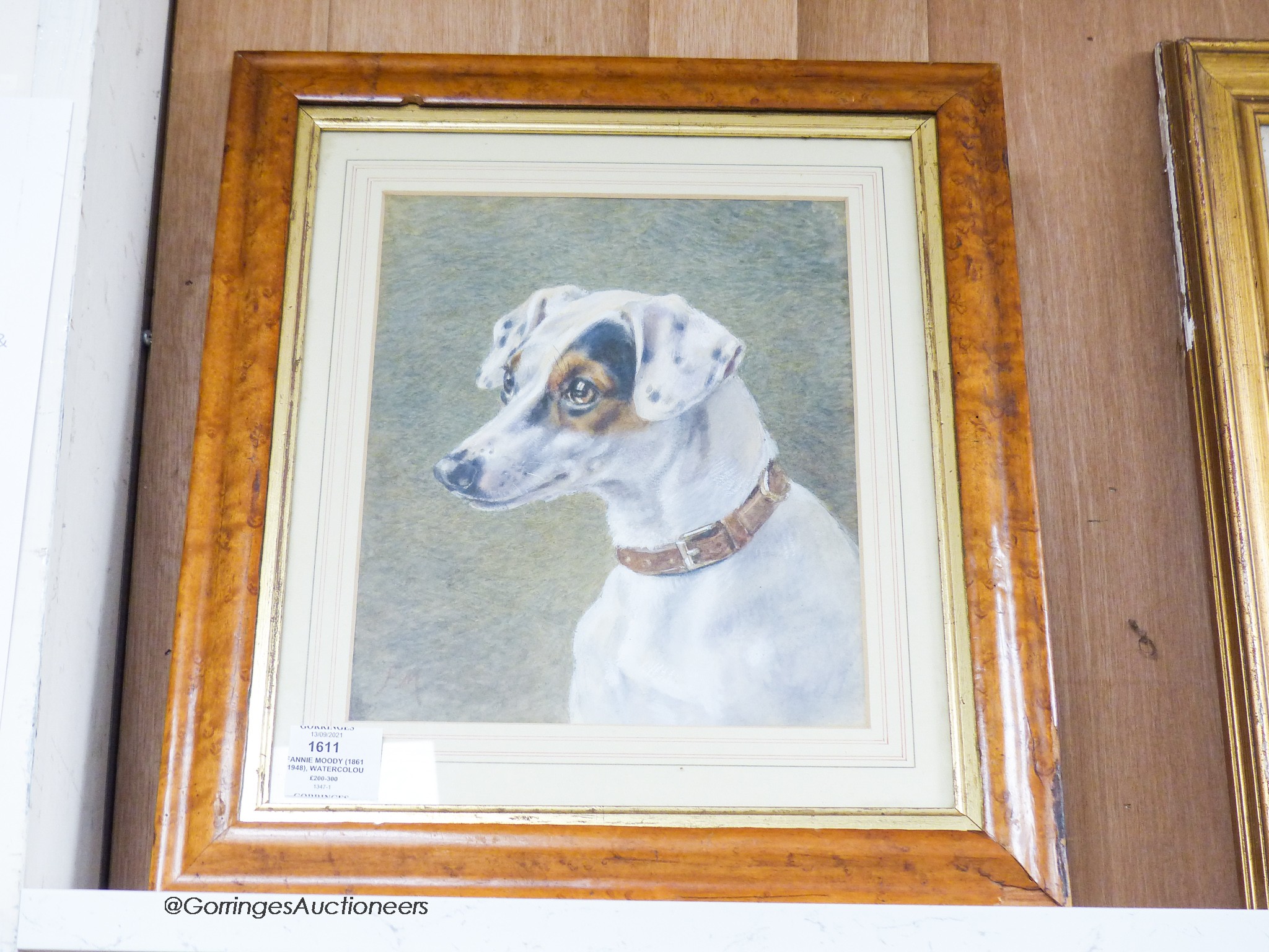 Fannie Moody (1861-1948), watercolour, Jack Russell, 27. 5 x 22.5 cm - Image 2 of 2