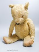 A blonde plush Teddy Bear with a hump back, height 51cm