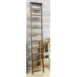 A Victorian oak 10 tread library ladder. W-38, H-229cm.