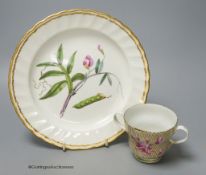 A Derby botanical plate painted with jointed prodded Lathyrus, titled, blue mark pattern 141, 22.