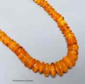 A single strand amber disc necklace, 67cm, gross weight 127 grams.