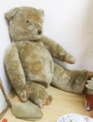 A large English teddy bear, height 80cm