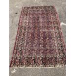 An early 20th century Persian Senneh red ground rug woven with rows of Boteh 218 x 130 cms