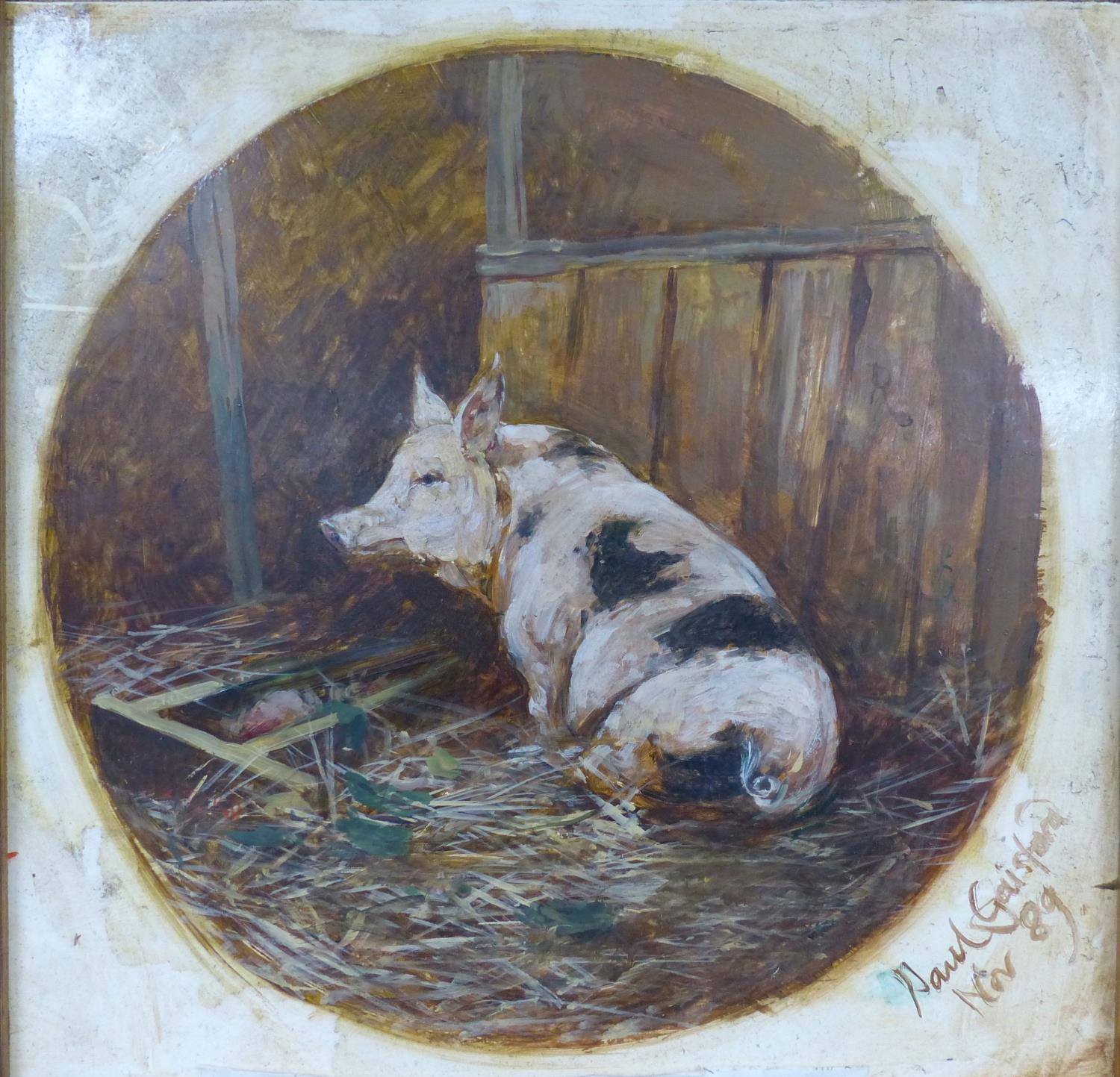 Paul Gaisford, oil on board, Pig in a stye, signed and dated '89, 30 x 29cm