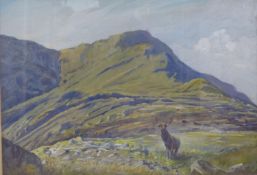 Frank Weller, watercolour, Stag in the Highlands, signed, 36 x 52cm