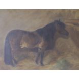 Victorian School, oil on board, Shetland pony in a stable interior, indistinctly signed, 30 x 38cm.