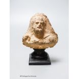 An Etruscan terracotta bearded portrait bust, height 12.5cm