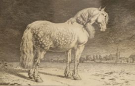 Paulius Potter, etching, horse in a landscape, 1652, 15 x 23cm.