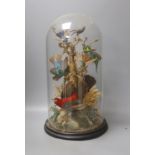 A Victorian taxidermic group of exotic birds, under a glass dome, height 46cm