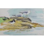 David Koster (1926-2014), charcoal and watercolour, gulls on the shoreline, signed, 25 x 39cm with