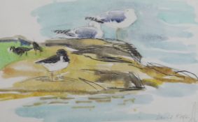 David Koster (1926-2014), charcoal and watercolour, gulls on the shoreline, signed, 25 x 39cm with