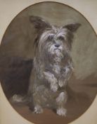 Victorian School, pencil and watercolour drawing of a terrier, oval, 35 x 28cm.