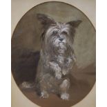 Victorian School, pencil and watercolour drawing of a terrier, oval, 35 x 28cm.