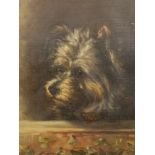 Manner of Sir Edwin Landseer, oil on canvas, ‘Impudence’, study of a terrier, 32 x 27cm.
