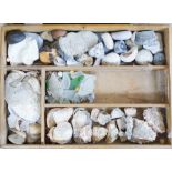 A quantity of fossils etc, in a display case