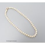 A single strand cultured pearl choker necklace, with garnet? and cultured pearl cluster set yellow